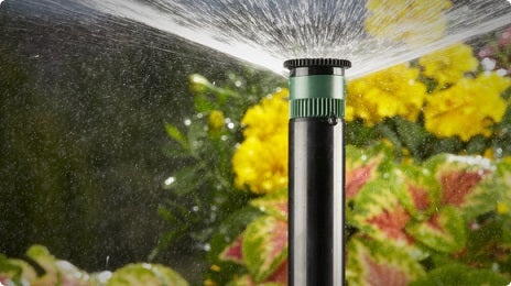 מתז גיחה 6A | גובה 10 ס"מ | רדיוס 1.8 מטרים