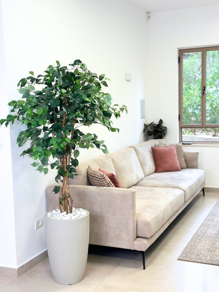 עציץ מלאכותי פיקוס מגוון | כד פמילי בינוני | גובה 1.80 מטר