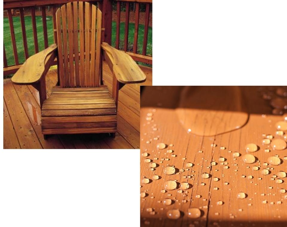 שמן דק שקוף | 5 ליטר | מראה רטוב | Wolman