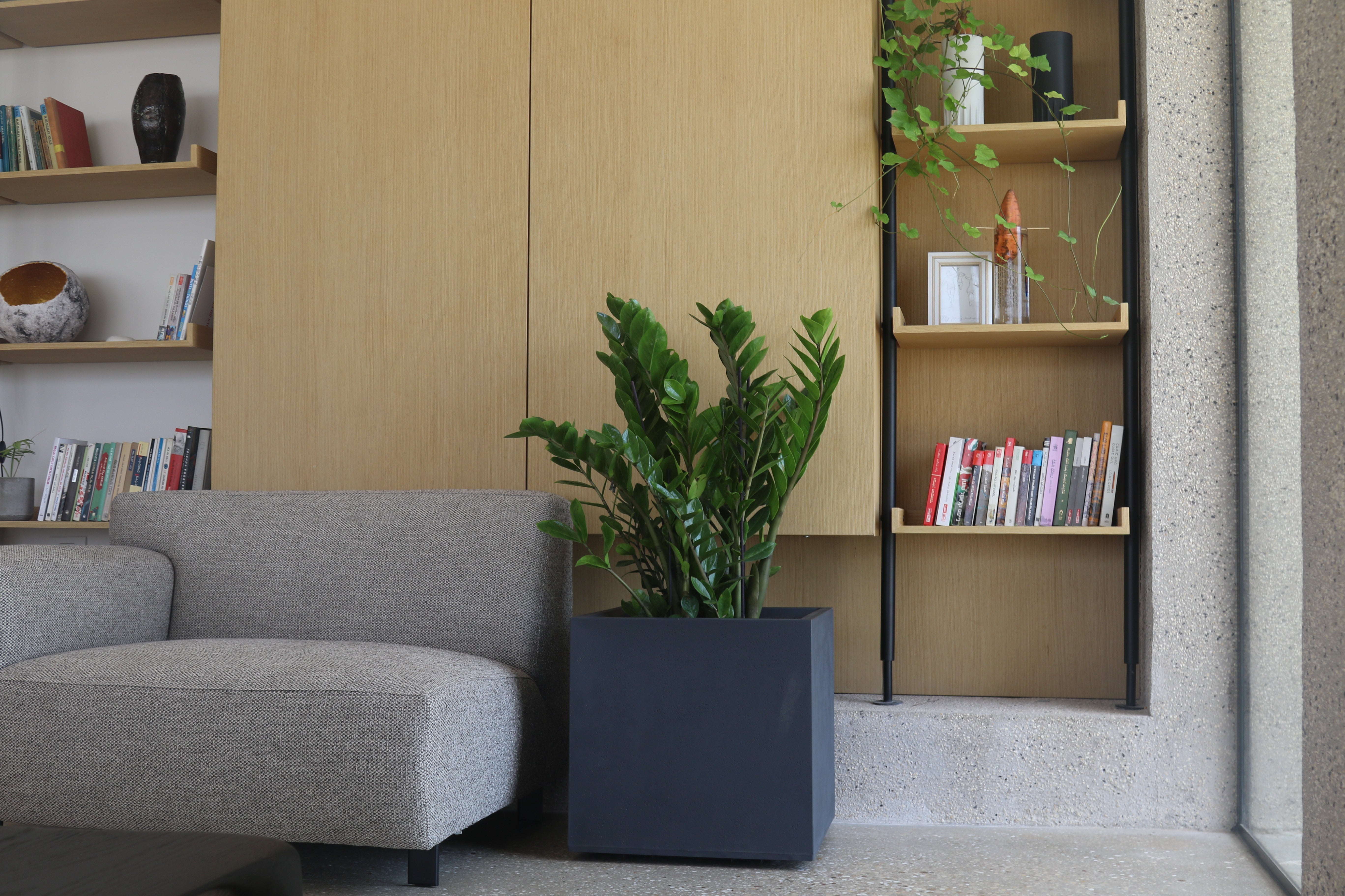 אדנית מרובעת | 49.5 ס״מ | שלושה צמחים