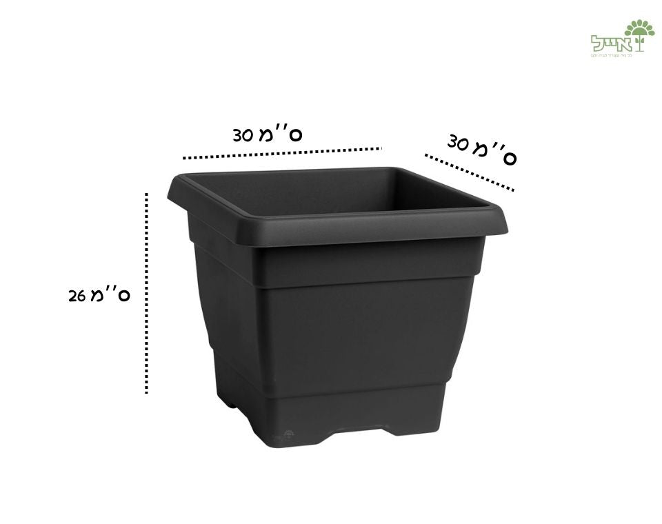 מרובע גלבוע | פחם | 30X30