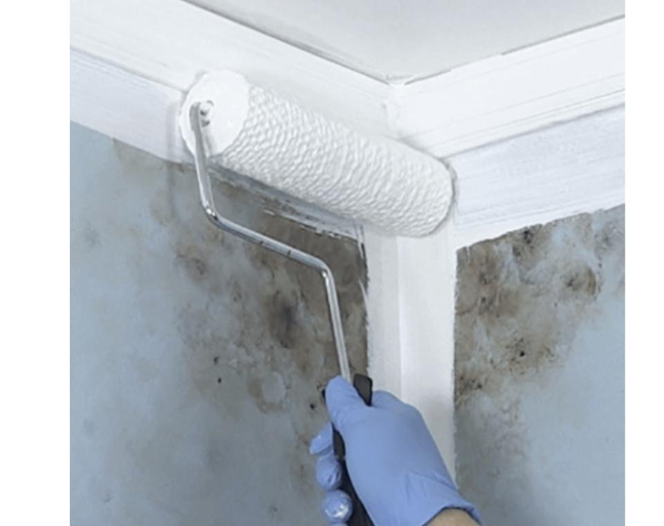 צבע נגד עובש | PERMAWHITE | פח 19 ליטר