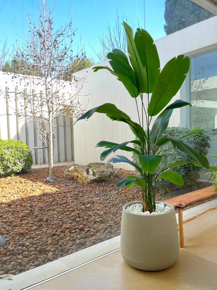 ציפור גן עדן מלאכותי | בכד דנוור | בגובה 255 ס"מ | דגם 552