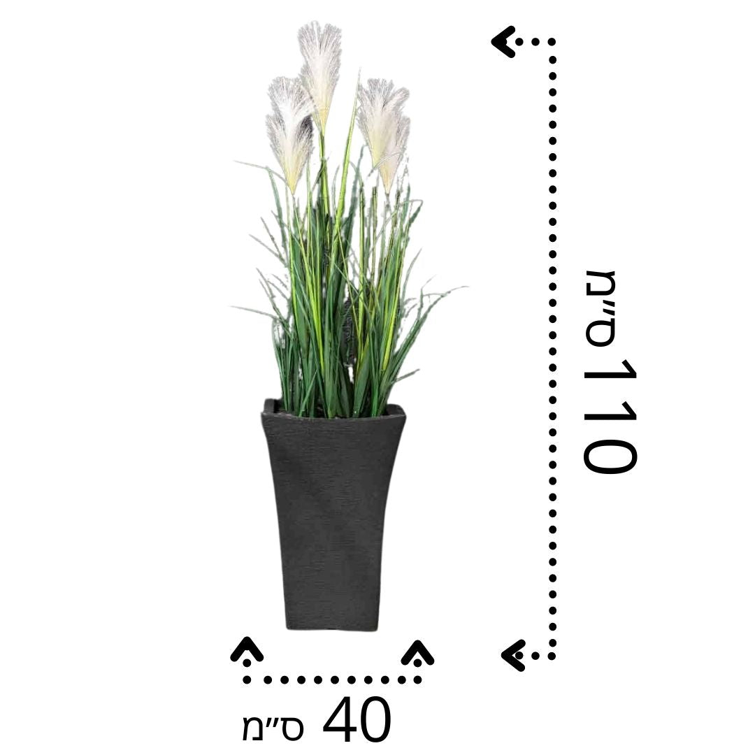 עשבוני פריחה לבנה | בכד קוני רויאל 110 ס"מ