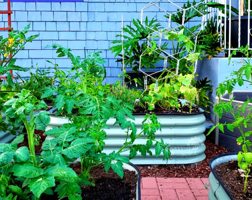 אדנית מודולרית גובה 74 ס"מ | צבע ירוק | 6 ב -1 צורות לבחירה | BIRDIES