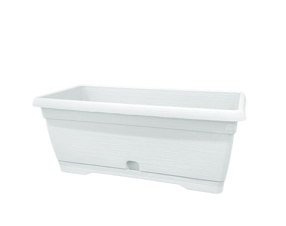 אדנית צבר | לבן | 40 ס״מ