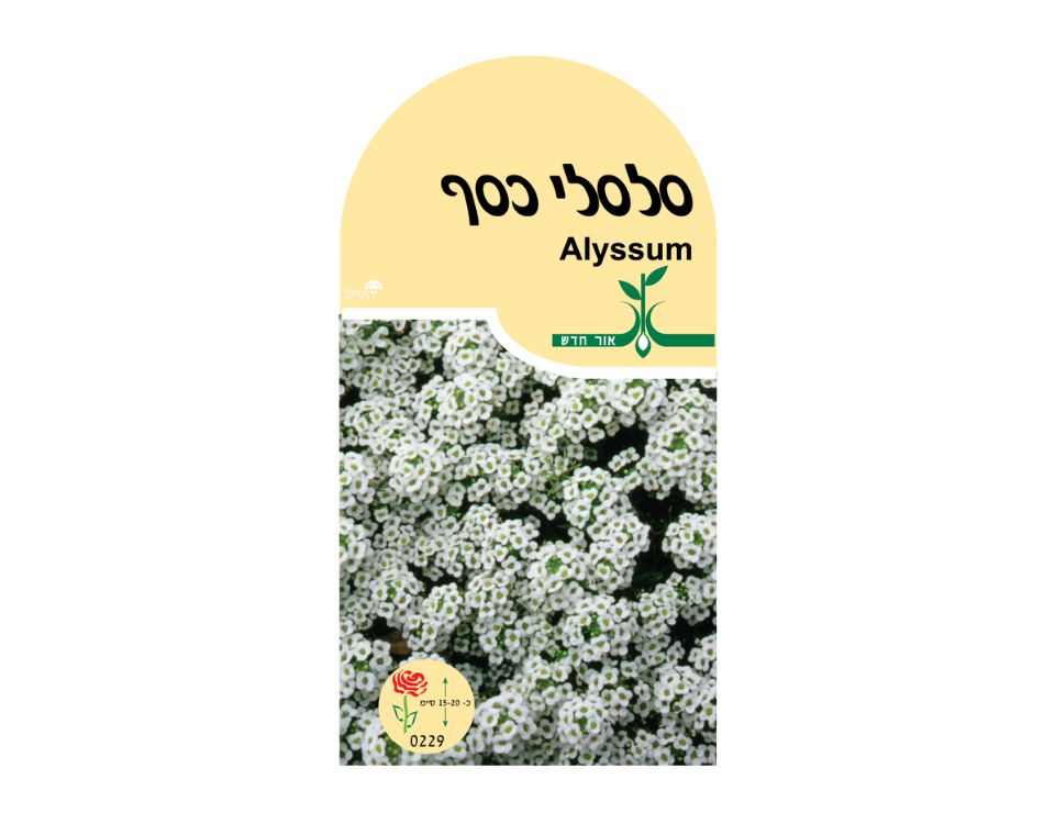 סלסלי כסף - לבן | כ-80 זרעים