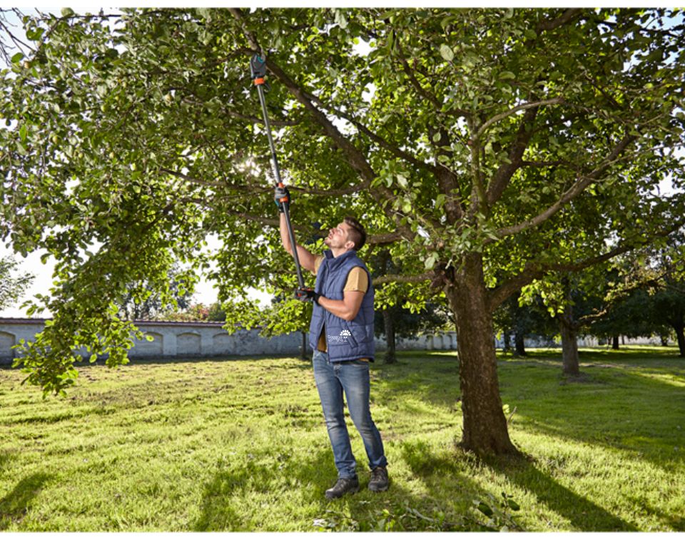 מזמרת גובה | גובה 230-650 ס"מ | דגם SratCat 410 plus