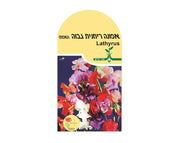 אפונה ריחנית - גבוהה | כ-1.3 גרם זרעים