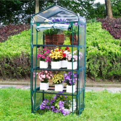 חממה ביתית הכוללת מדפים וכיסוי | דגם 1603 | 160X69 | שקוף