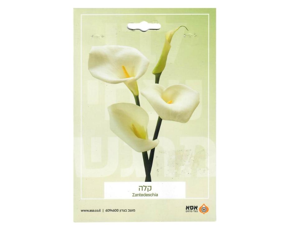 קלה | 2 יחידות