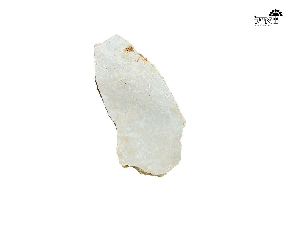 אבן מדרך טבעית לגינה | בז'