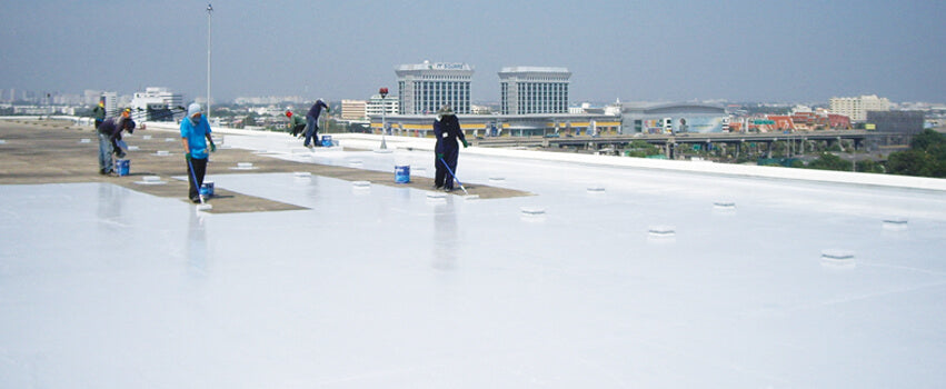 מריס 250 לבן | 1 ק״ג