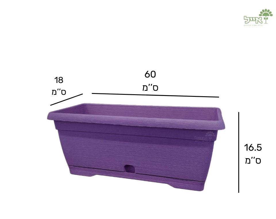 אדנית צבר | סגול | 60 ס״מ