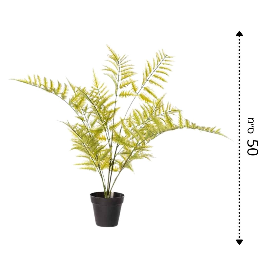 שרך דבליה | מלאכותי