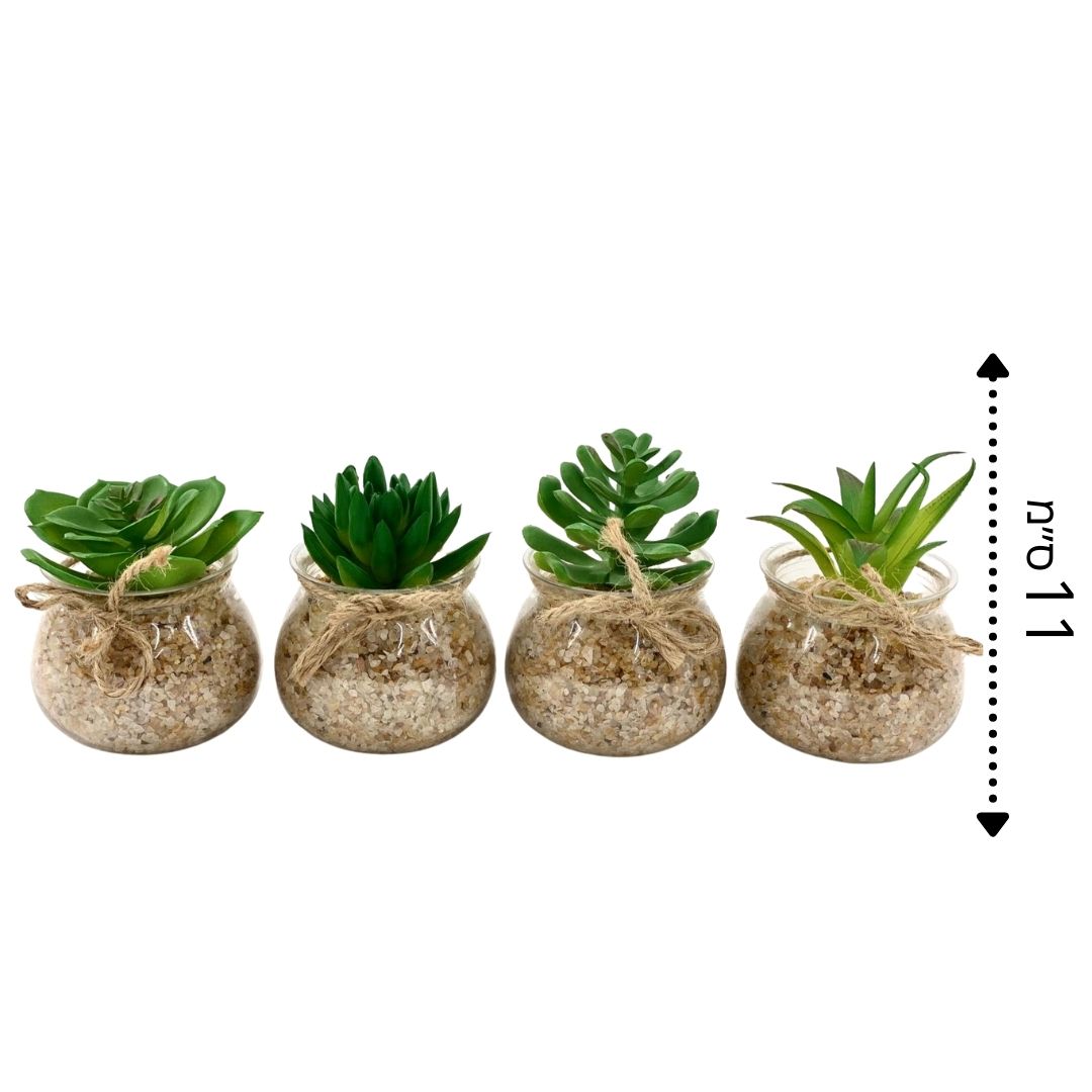 עציץ שקוף מלאכותי חבל