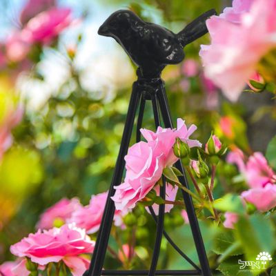 זוג מתקני הדליה מעוטרים לתמיכת צמחים | 100 + 80 | דגם 0020 | שחור