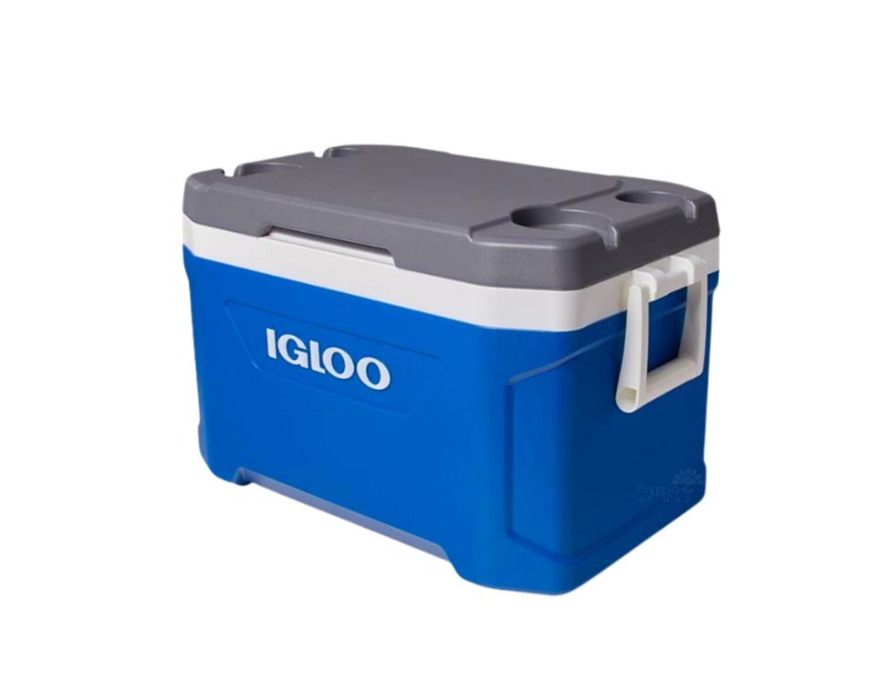 צידנית קשיחה | כחול ואפור | 49 ליטר | Latitude