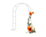 קשת ברזל לטיפוס צמחים | 230X140 | דגם גפן | לבן