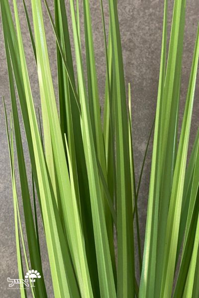 צמח מלאכותי זקוף | 63 ס"מ | כד שחור