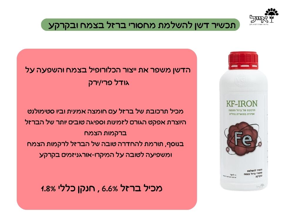 KF-IRON | דשן אורגני להשלמת מחסורי ברזל בצמחייה ובקרקע | 1 ליטר
