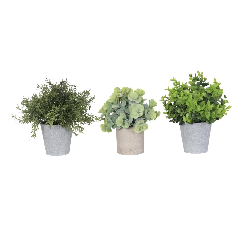 עציץ דמוי בטון