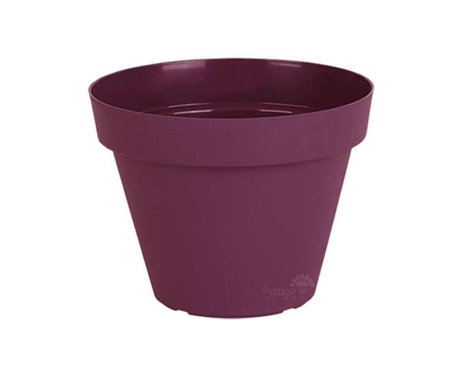 עציץ אביב | סגול כהה | קוטר 20 ס"מ