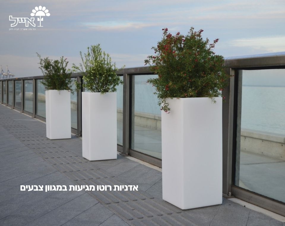 כד רוטו גבוה | לבן | 70X30X30