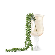 שרשרת גולש ענבים