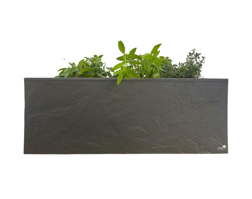 אדנית קטנה דמוי אבן | 3 צמחים לבחירה | 59X19.5X22.8 | אפור בהיר