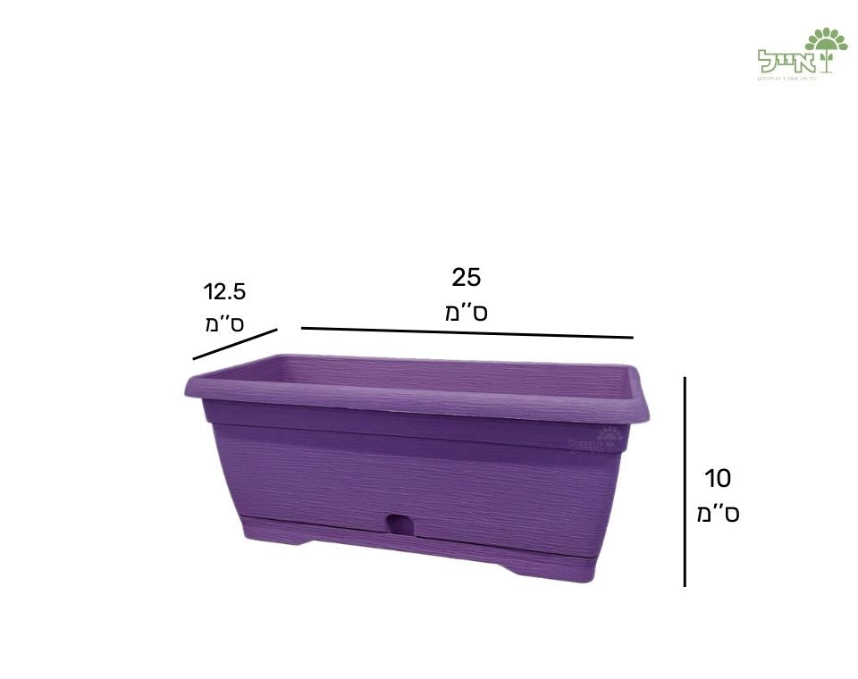 אדנית צבר | סגול | 25 ס״מ
