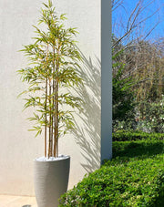 כד פמילי | 55 ס"מ | עץ במבוק מלאכותי