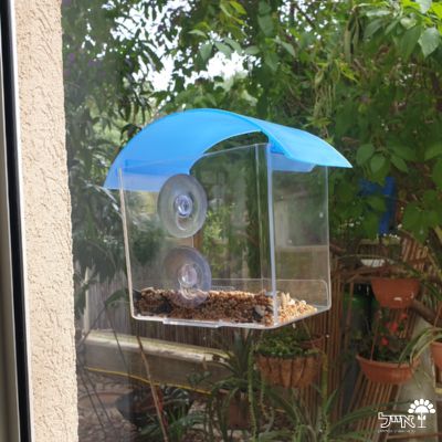 מתקן האכלה שקוף ונצמד לציפורים | 14X14 | דגם 01323