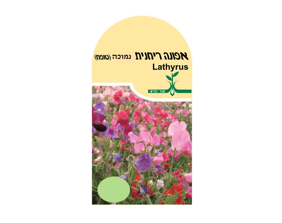 אפונה ריחנית - נמוכה | כ-1.7 גרם זרעים