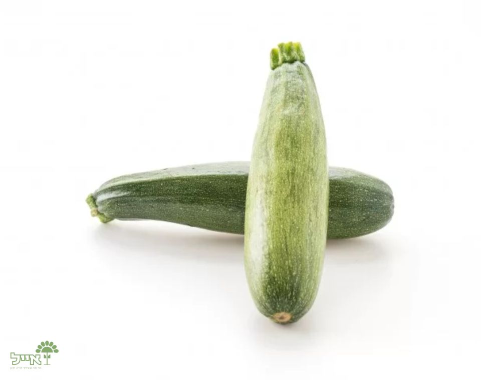 קישוא בלאדי | 10 זרעים