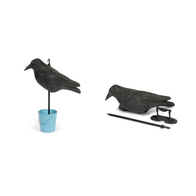 דחליל להרחקת יונים | עורב