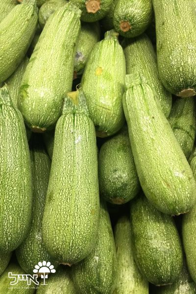 קישוא | 10 זרעים