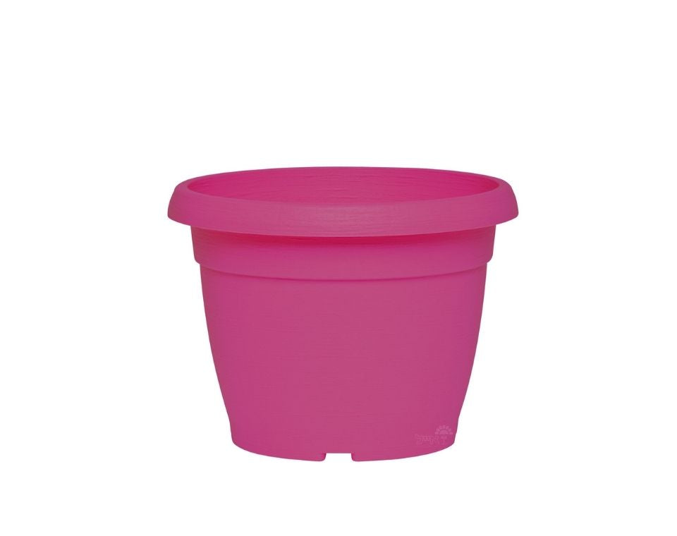 עציץ צבר | ורוד פוקסיה | קוטר 22 ס״מ